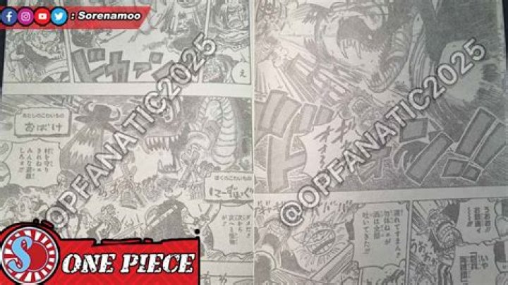 ワンピース1102話 漫画rawの探し方と“読む前に知りたい”注意点