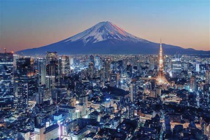 tokyo motion ダウンロードする方法を安全に確認するイメージ