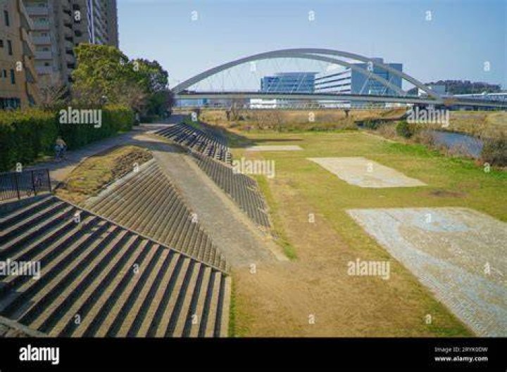 鶴見 緑地 球技 場を徹底ガイド｜アクセス、利用のコツ、周辺情報